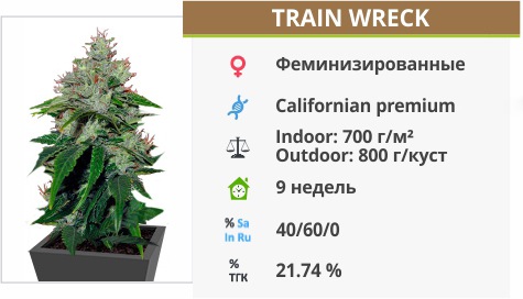 Trainwreck Trainwreck