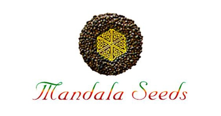Mandala Seeds Mandala Seeds