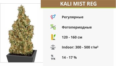 Сорт каннабиса Kali Mist Kali Mist reg (Serious Seeds)