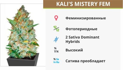 Kali's Mistery fem