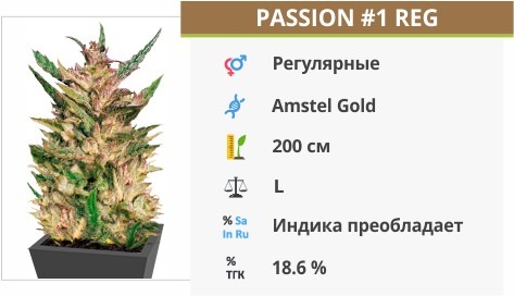 Passion 1 Passion 1