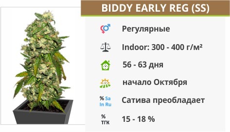 Biddy Early Biddy Early