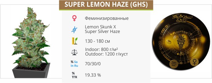 Super Lemon Haze