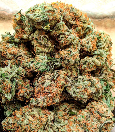 Apple Betty Auto fem (Herbies Seeds) семена конопли