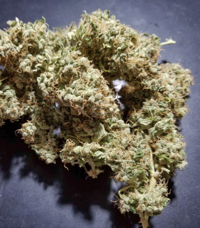 Auto Fresh Candy fem (Pyramid Seeds) семена конопли