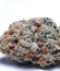 Tangie'matic auto fem семена конопли