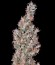 Kali Мist fem (Serious Seeds) семена конопли