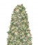 Brainkiller Haze fem (Vision Seeds) семена конопли