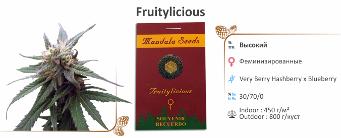 Fruitylicious Fruitylicious