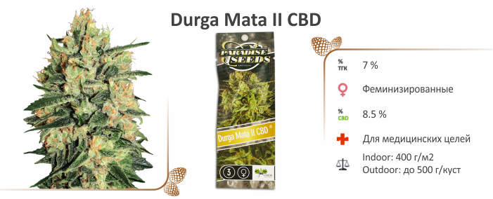 Каннабис Durga Mata II CBD durga_mata_ii_cbd