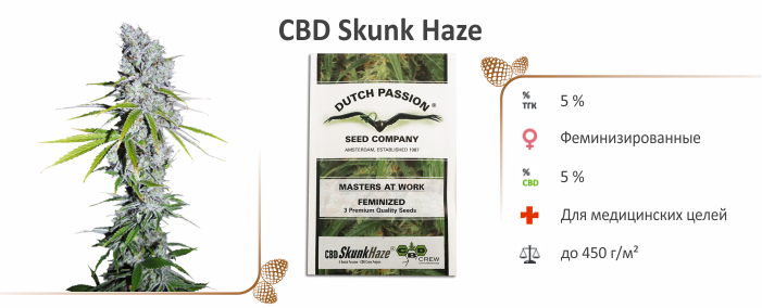 Семена марихуаны CBD Skunk Haze cbd_skunk_haze