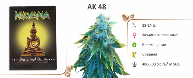 Ак-48 Марихуана AK 48