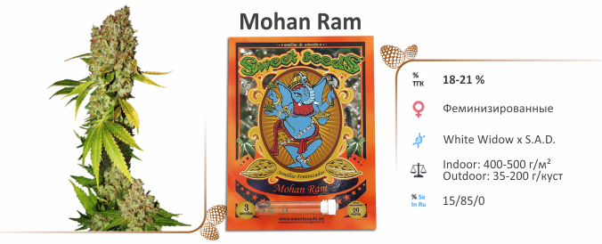 Mohan Ram Mohan Ram